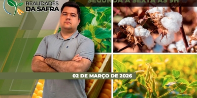 Colheita da soja e plantio do milho na reta final em Cascavel/PR e Amambai/MS