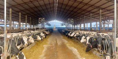 Volume de crédito do BRDE à cadeia do leite do Paraná cresce 84% em 12 meses