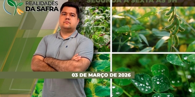 Colheita da soja é a mais atrasada em cinco anos e plantio do milho o mais lento desde 2022