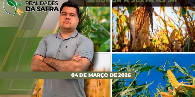 Clima afetou produtividade da soja em Rio Verde/GO e deve aumentar desafios da safra de tomate