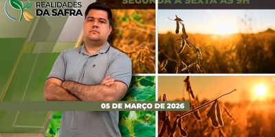 Chuvas impedem colheita e afetam soja do Tocantins, enquanto a seca trouxe perdas em São Pedro do Sul/RS