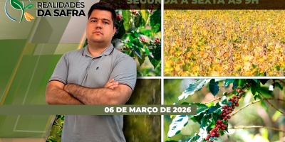Clima irregular prejudicou desenvolvimento dos cafezais em Varginha/MG e elevaram pressão de percevejos na soja do Rio Grande do Sul
