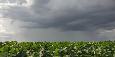 Chuvas vão se regularizar para soja do Brasil, riscos climáticos diminuem, diz Nottus