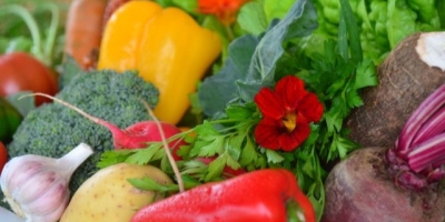 Mercado de olericultura aquecido impulsiona busca por soluções mecanizadas e produtividade