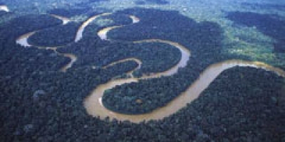 Anos de déficit hídrico ampliam atenção para rios da Amazônia com El Niño, diz Cemaden