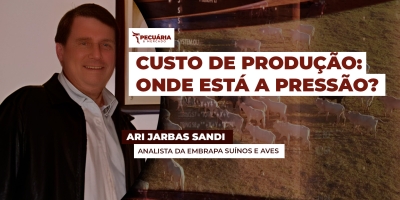 Custos de suínos recuam e frango se mantém estável: o que muda na rentabilidade