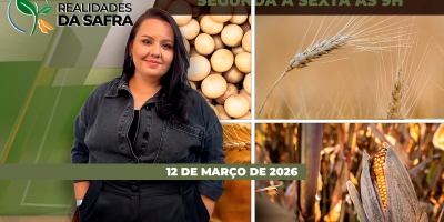REALIDADES DA SAFRA - EDIÇÃO 12/03/2026
