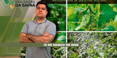 Rio Grande do Sul ainda sente impactos das enchentes de 2024 nos solos do estado