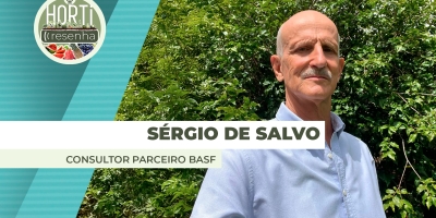 Desafios no cultivo do tomate são crescentes e produtor precisa de manejo assertivo