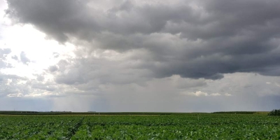 Chuvas retornam a áreas de soja do Brasil, mas Estados do Matopiba enfrentam seca, diz EarthDaily