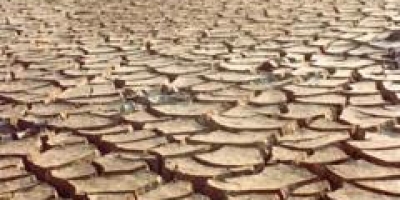 Estiagem: quinze cidades têm situação de emergência decretada