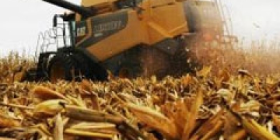 Crédito rural em MS soma R$ 1,1 bilhão em março e revela cautela do produtor