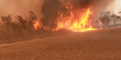 Medida provisória libera R$ 60,46 mi para combate a incêndios e desmatamento