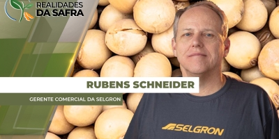 Inteligência artificial auxilia produtor a garantir uniformidade da soja colhida