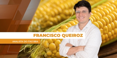 Atraso no plantio da segunda safra dá suporte para preços do milho no Brasil e evita novas baixas