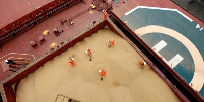 Câmaras Setoriais monitoram pedido do MAPA para recadastramento dos exportadores de soja e outros produtos agrícolas