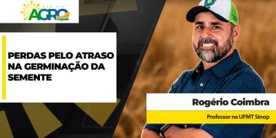 Produtor deixa de colher de 10 a 12 scs/ha de soja a cada dia de atraso na emergência de plântula