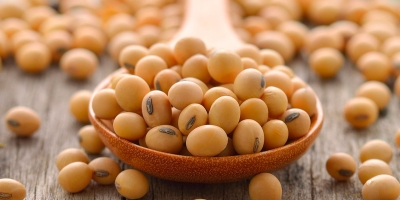 DATAGRO Grãos: plantio da safra 2025/26 de soja no Brasil ultrapassa metade da área projetada