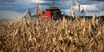 AgRural: Com colheita de soja em 10% no Brasil, pontos do Sul enfrentam calor e falta de chuva