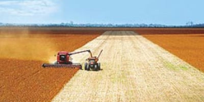 Puxada por MT, colheita de soja chega a 0,6% da área no Brasil