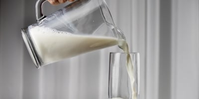 Leite/Cepea: Movimento de desvalorização persiste no campo