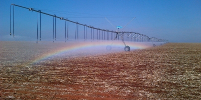 Vale do Araguaia tem grande potencial e pode expandir em 2 mi/ha o sistema agrícola de Goiás