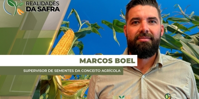 Transição da soja para o milho demanda eficiência na tomada de decisão do produtor