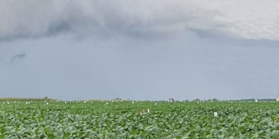 Inmet divulga prognóstico agroclimático para o trimestre de novembro a janeiro