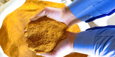 Alternativa importante para a pecuária, DDGS ganha ainda mais espaço no portfólio das biorrefinarias de milho do BR