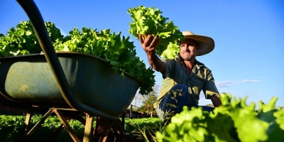 O futuro climático do Brasil começa no hortifrúti