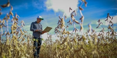 O desafio da mão de obra no Agro e além, por Ruy Toledo Piza