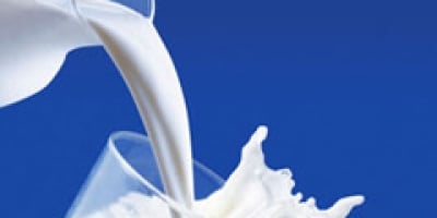 Conseleite indica leite projetado a R$ 2,0180 em dezembro no RS