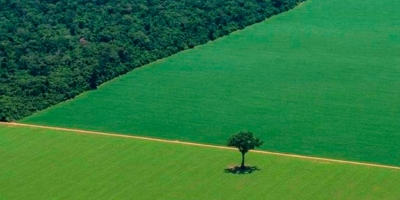 Parlamento da UE aprova acordo que atrasa de um ano na lei de antidesmatamento