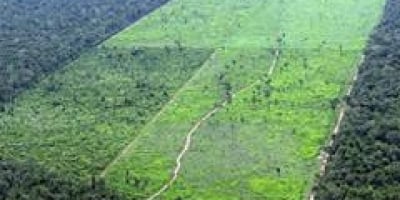 Em derrota ao governo, Congresso derruba vetos à nova lei de flexibilização ambiental