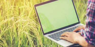 Tecnologia de análise de grãos avança entre fazendas de médio porte e impulsiona produtividade no campo
