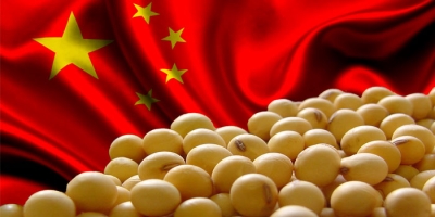 China mantém inalteradas previsões para milho e  soja 2026/27