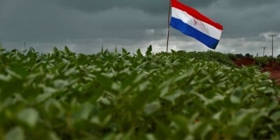 Safra de soja do Paraguai deve alcançar 10,5 milhões de toneladas após desafios climáticos