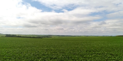 Estudos da Farsul embasam pedido de prorrogação de dívida com União