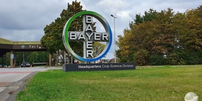 Lucro operacional da Bayer aumenta 9% no 1º tri com impulso do negócio de soja