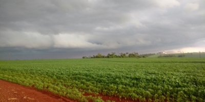 Inmet: Chuvas irregulares causam impactos em áreas agrícolas no Paraná