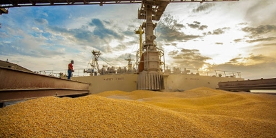 Anec eleva projeção de exportação de grãos do Brasil em dezembro e vê soja dobrando ante 2024