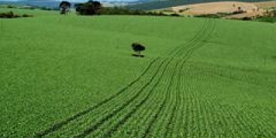 Agro fecha abril com corte de 8,3 mil vagas formais no país