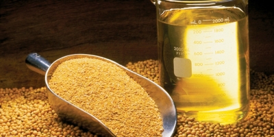 Abiove prevê esmagamento recorde de 61 mi t de soja no Brasil em 2026