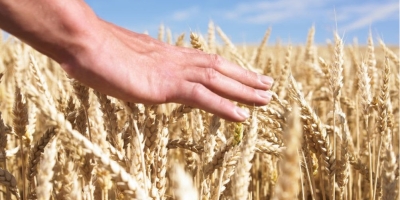 Agro cresce, mas falta liderança: o risco silencioso dentro das empresas