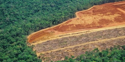 Lei antidesmatamento da UE impõe risco de exclusão de produtores e pode afetar US$ 17,5 bilhões do agro brasileiro, aponta estudo da BIP