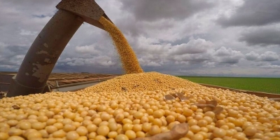 DATAGRO projeta nova alta na produção brasileira de soja e milho para a safra 2025/26