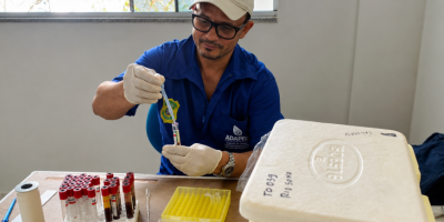 Adapec inicia monitoramento da Peste Suína Clássica e reforça status de zona livre no Tocantins