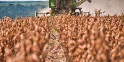 CNA encerra encontros regionais para discutir demandas para o Plano Safra