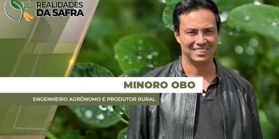 Araguari/MG espera alta produtividade da soja que começa a ser colhida