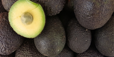 Abacate avocado registra reduções de preço de 24,3% em uma semana e de 60,3% em um ano